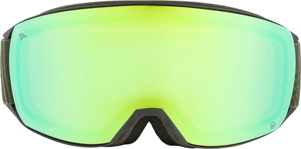 Alpina unisex slidinėjimo akiniai (1 vnt.)