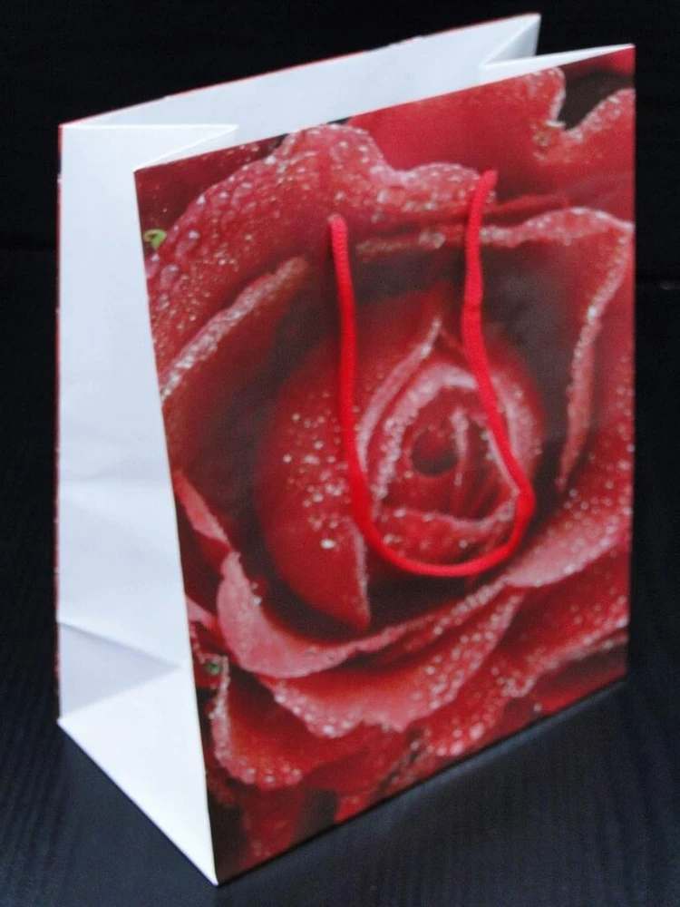 Bagland Flower Emotions 3 popieriniai dovanų maišeliai - 160 gsm Economy Pack - 12 asorti pakuotė, 26 x 32 x 10 cm