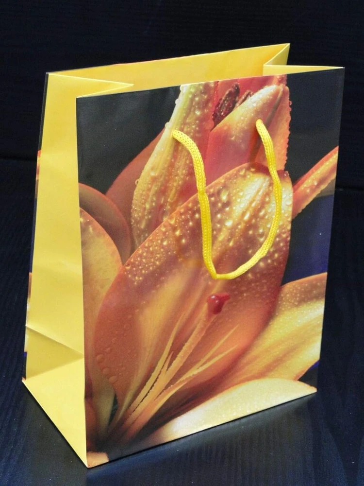 Bagland Flower Emotions 3 popieriniai dovanų maišeliai - 160 gsm Economy Pack - 12 asorti pakuotė, 26 x 32 x 10 cm