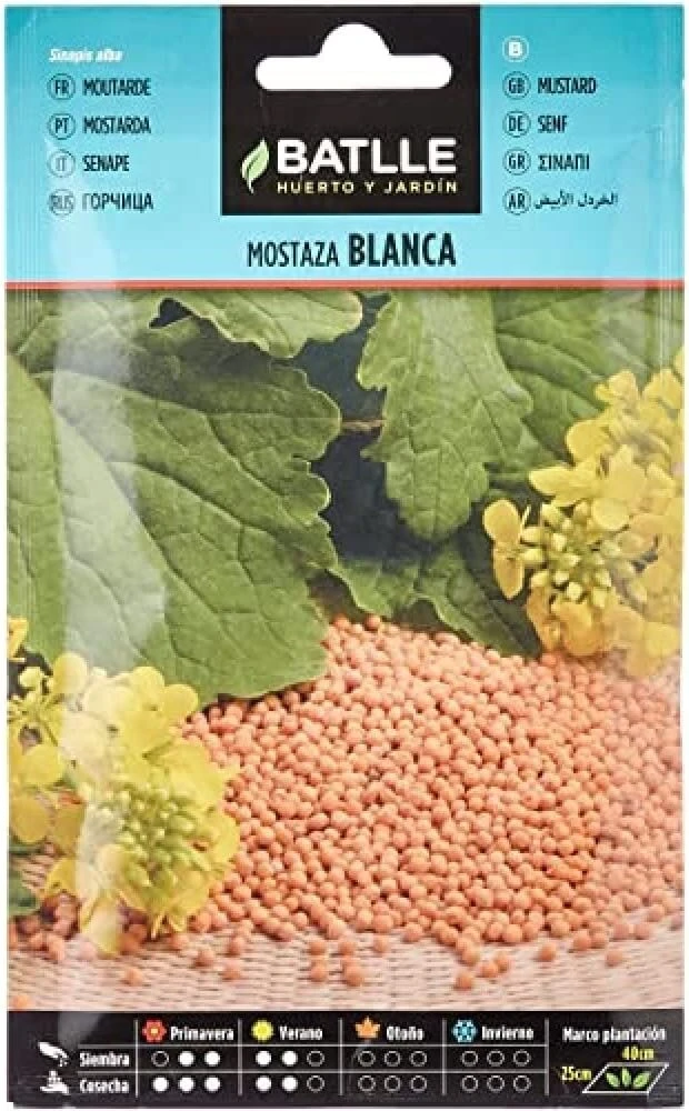 Batlle aromatinės sėklos - baltosios garstyčios (sėklos - 40-55cm)