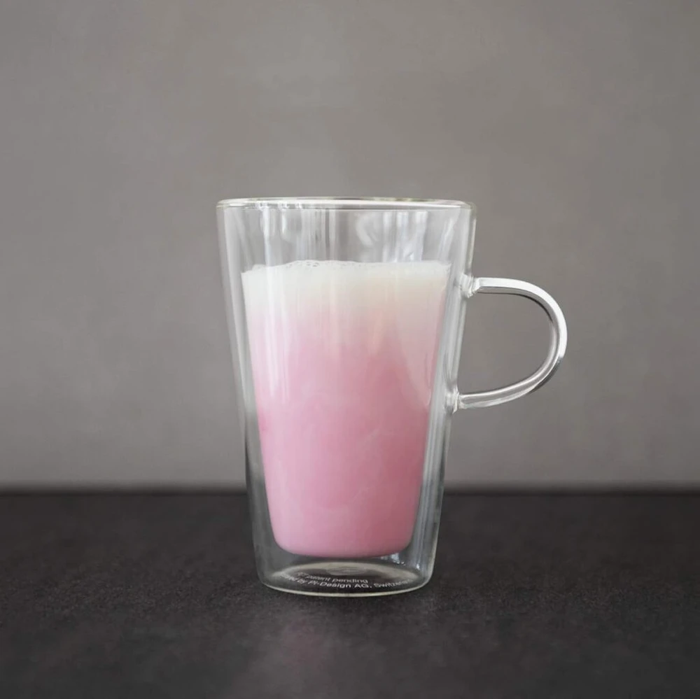 Bodum Canteen 2 stiklinių rinkinys (dvigubos sienelės, izoliuotas, galima plauti indaplovėje, 0,4 litro) skaidrus