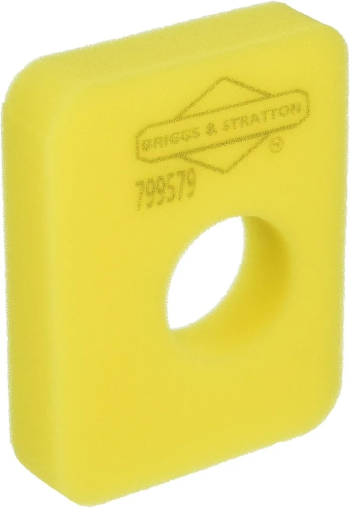 Briggs & Stratton oro filtras
