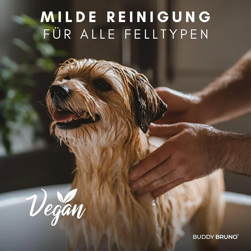 Buddy Bruno® Šampūnas jautriems šunims | Su vitaminais + natūrali priežiūra su šaltalankių ekstraktu | Veganiškas | Atstato odą ir kailį | Apsaugo nuo kvapų ir niežulio, dermatologiškai patikrintas | 250 ml