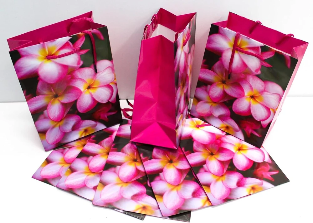 Capiso 8 vidutinio dydžio dovanų maišelių rinkinys su tvirta virvele 23 cm x 18 cm x 10 cm. Dovanų maišeliai su rankena, skirti vakarėliams. Spalvingi maišeliai iš kraft popieriaus