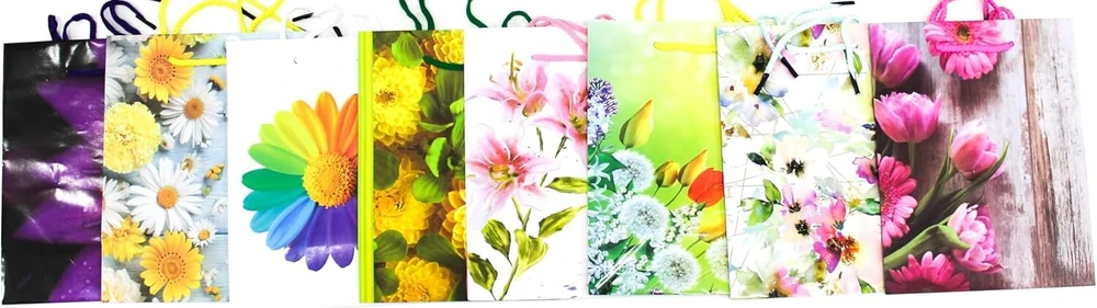 Capiso 8 vidutinio dydžio dovanų maišelių rinkinys su tvirta virvele 23 cm x 18 cm x 10 cm, dovanų maišeliai su rankena, vakarėlių maišeliai, spalvingi maišeliai, kraft popieriniai maišeliai
