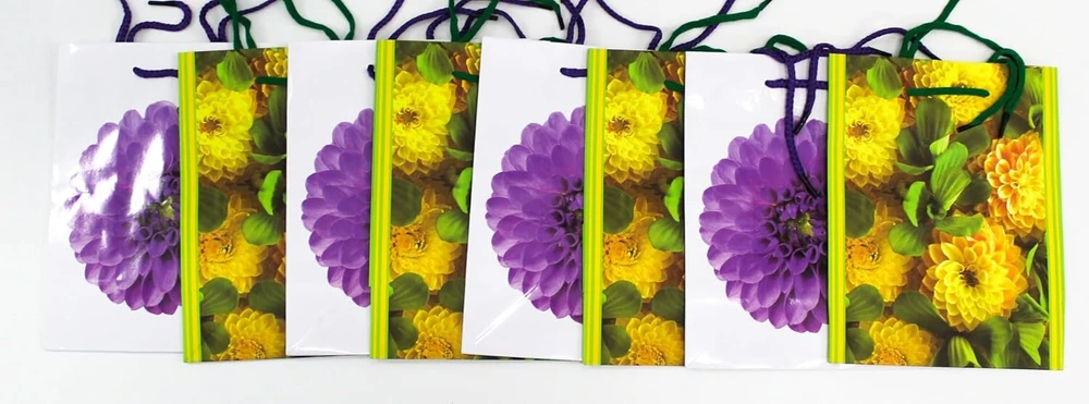 Capiso 8 vnt. vidutinio dydžio dovanų maišelių su tvirta virvele 23 cm x 18 cm x 10 cm, dovanų maišeliai su rankena, vakarėlių maišeliai, spalvingi maišeliai, kraft popieriniai maišeliai, gėlės