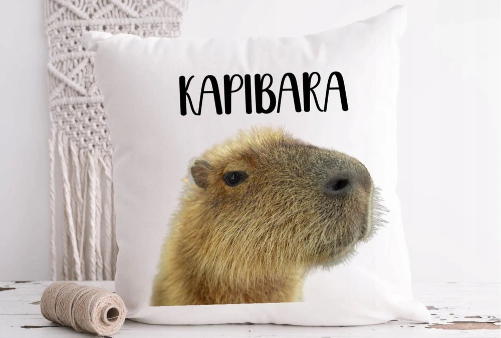 Capybara puodelis + pagalvė su užpildu kaip dovana