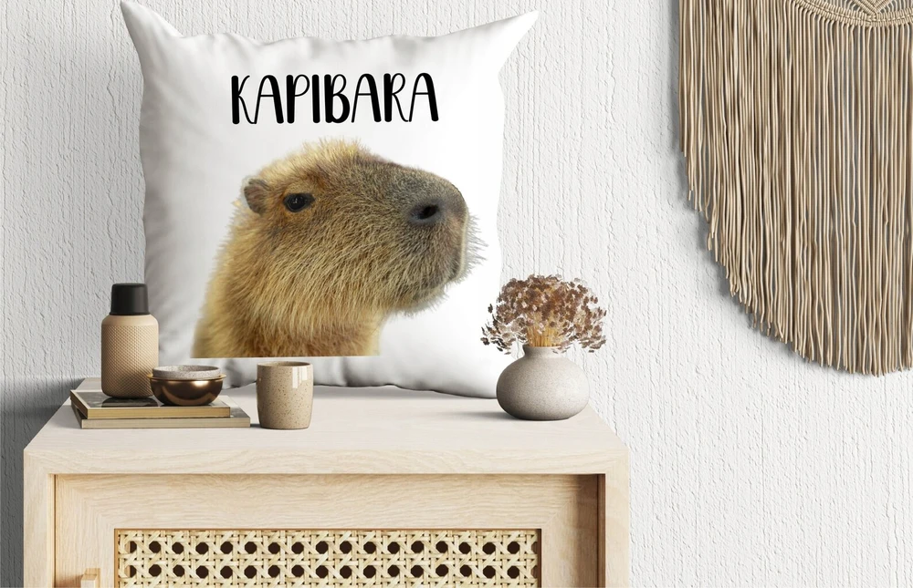 Capybara puodelis + pagalvė su užpildu kaip dovana