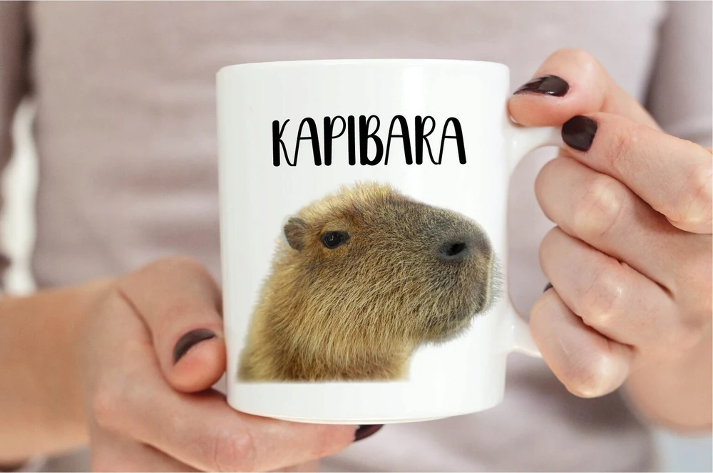 Capybara puodelis + pagalvė su užpildu kaip dovana