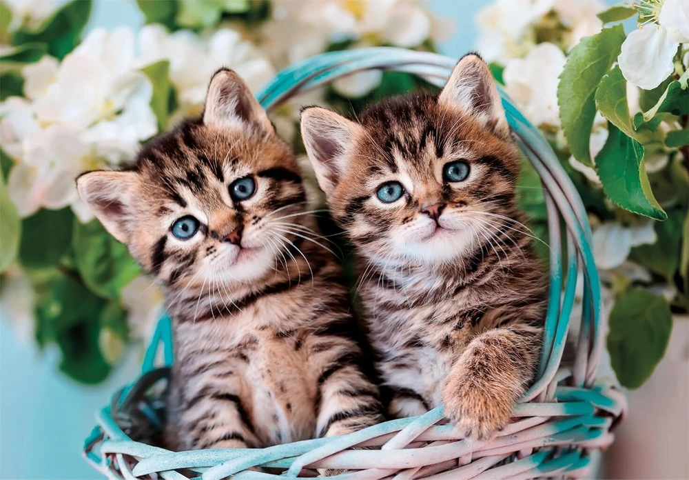 Clementoni Lovely Kitty Twins vaikiška dėlionė 60 maxi detalių - 33,5 x 23,5 cm dydžio dėlionė vaikams nuo 4 metų - įgūdžių žaidimas, animacinė dėlionė - 26599