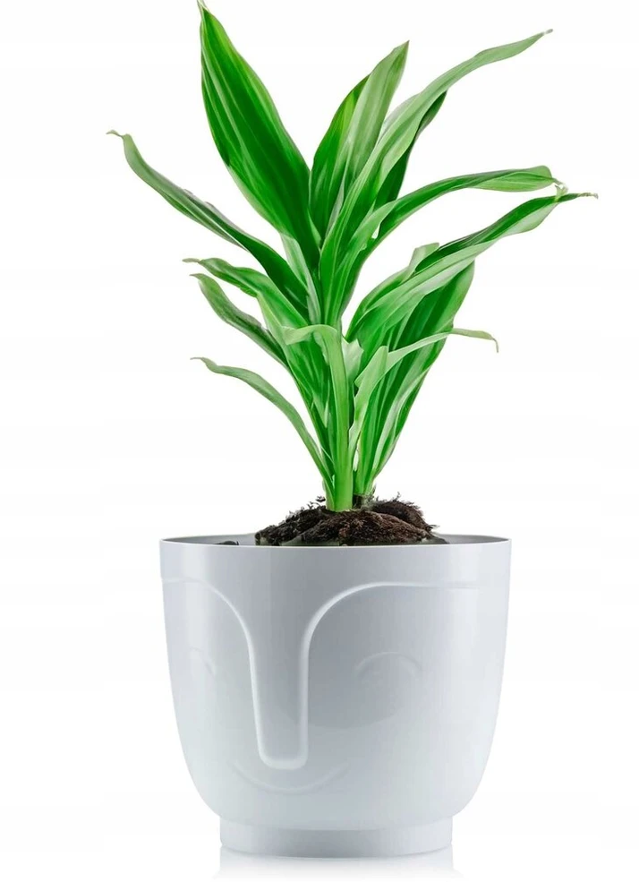 Dėklas gėlių vazonui For Home svetainei virtuvei Veidas Galva baltas plastikas