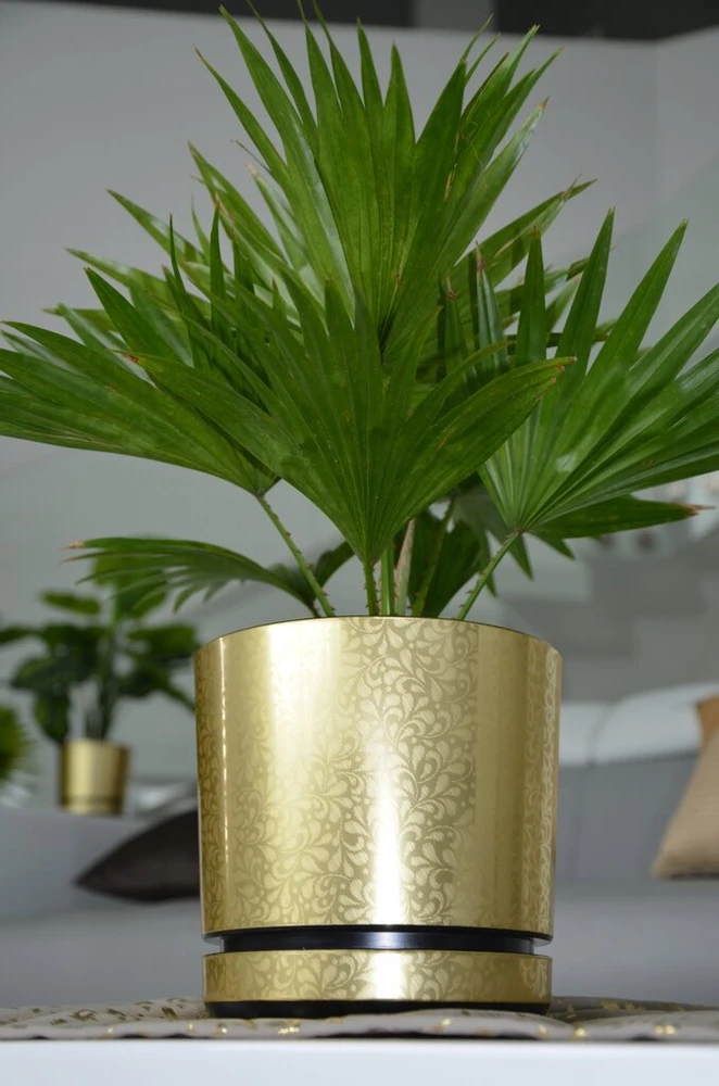 Dekoratyvinė auksinė gėlės vazonas 26 cm