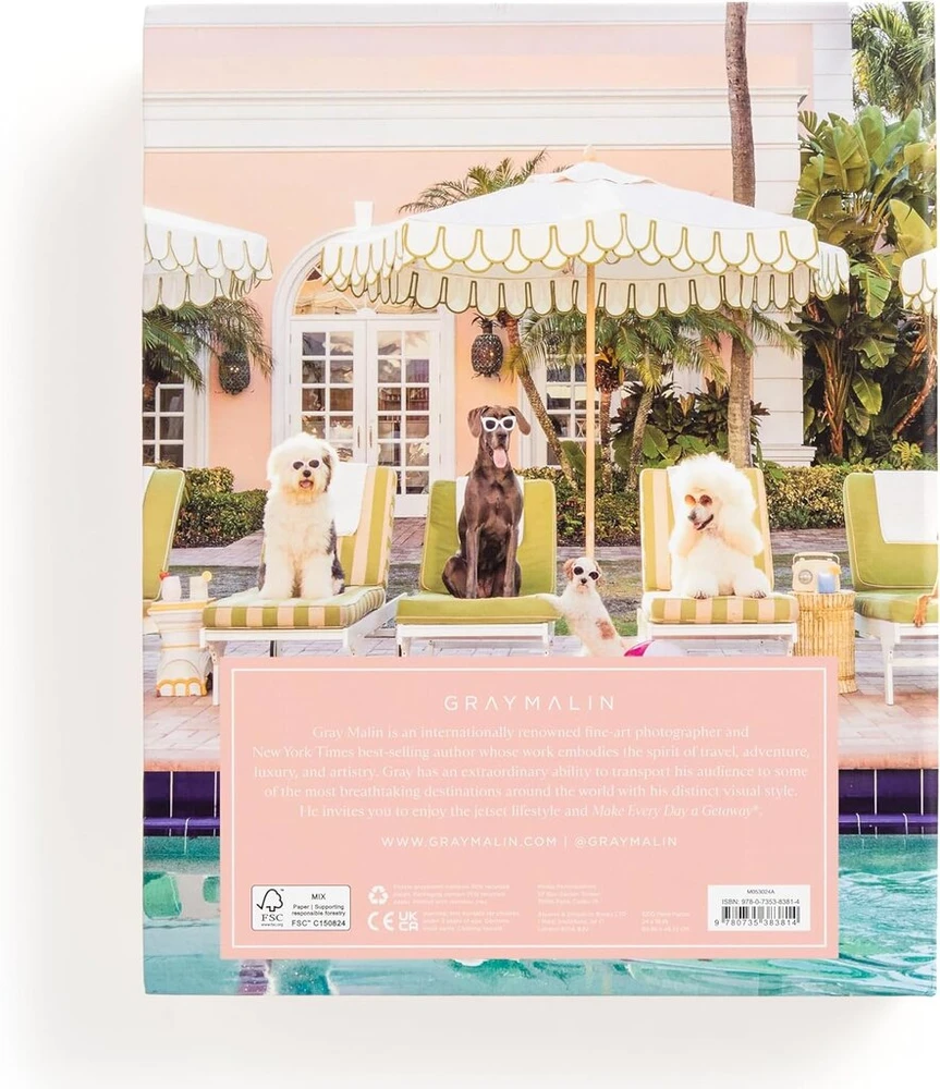 Dėlionė "palm Beach" 1000 detalių knygos dėžutėje