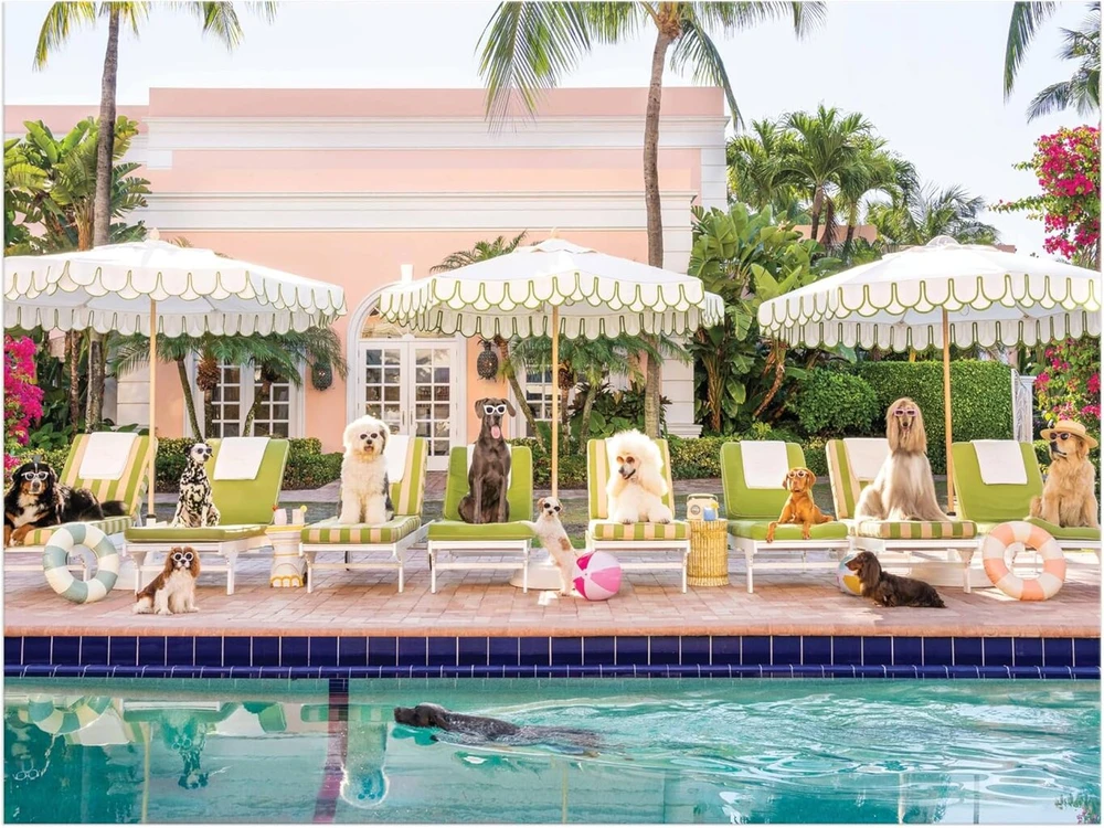 Dėlionė "palm Beach" 1000 detalių knygos dėžutėje