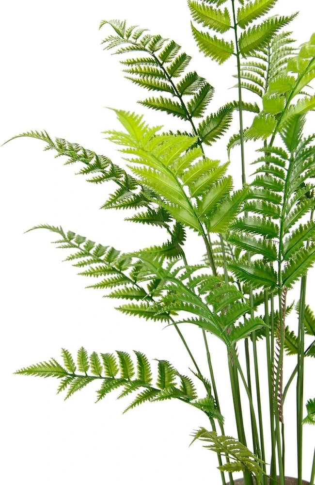 Dirbtinis paparčio augalas vazone, didelis dirbtinis papartis, paparčio krūmas, miško augalas, kambarinis augalas, žalias augalas, augalas vazone, netikra džiunglių dekoratyvinė paparčio krūmo medžio dekoratyvinis augalas, 90 cm