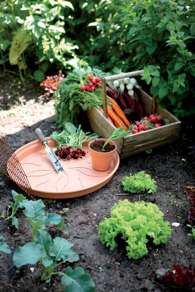 Elho Žalias Basics vazonas - mild terra 53 cm