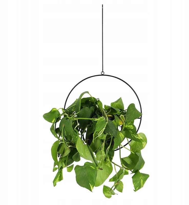 Esschert Design pakabinamas gėlių vazonas lovelis, juodas, loft stiliaus, modernus, Py148