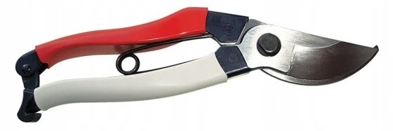 Euroflora Okatsune 103 Precauter