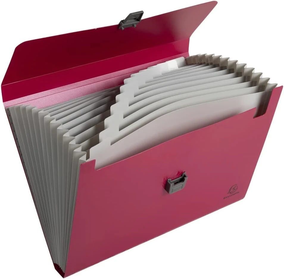 Exacompta Maïa 58410e perdirbti segtuvai su plastikiniu užsegimu, skirti Din A4 formatui, su skirtukais ir organizatoriumi, 2 užtraukiamomis kišenėmis ir rašiklio laikikliu, konferencinis segtuvas, 1 vnt., atsitiktinė spalva