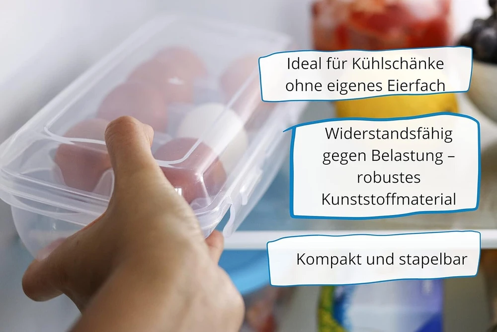 Florentyna kiaušinių dėklas 10 kiaušinių, laikymo dėžutė, be Bpa plastiko, šaldytuvui ir transportavimui, skaidrus, sukraunamas, lengvai prižiūrimas, užraktas su dangteliu, kiaušinių dėžutė, kiaušinių padėklas, kiaušinių laikiklis