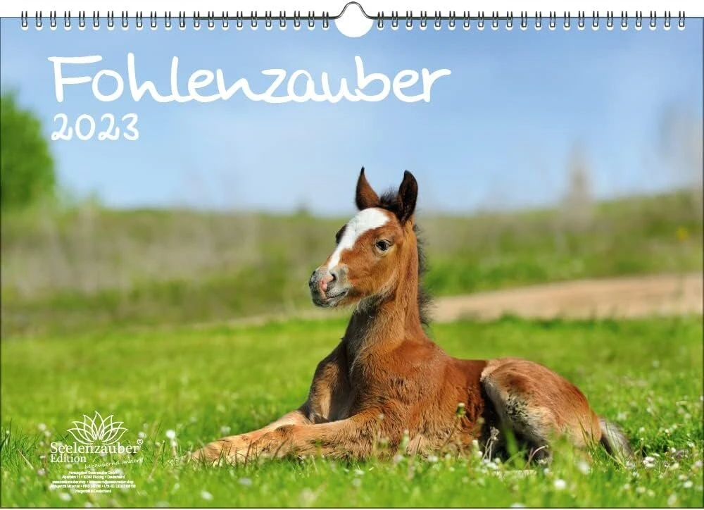 Foal Magic Din A3 kalendorius 2023 metams. Žirgai ir kumeliukai - Soul Magic, Kn2023-3w-0015-d-0