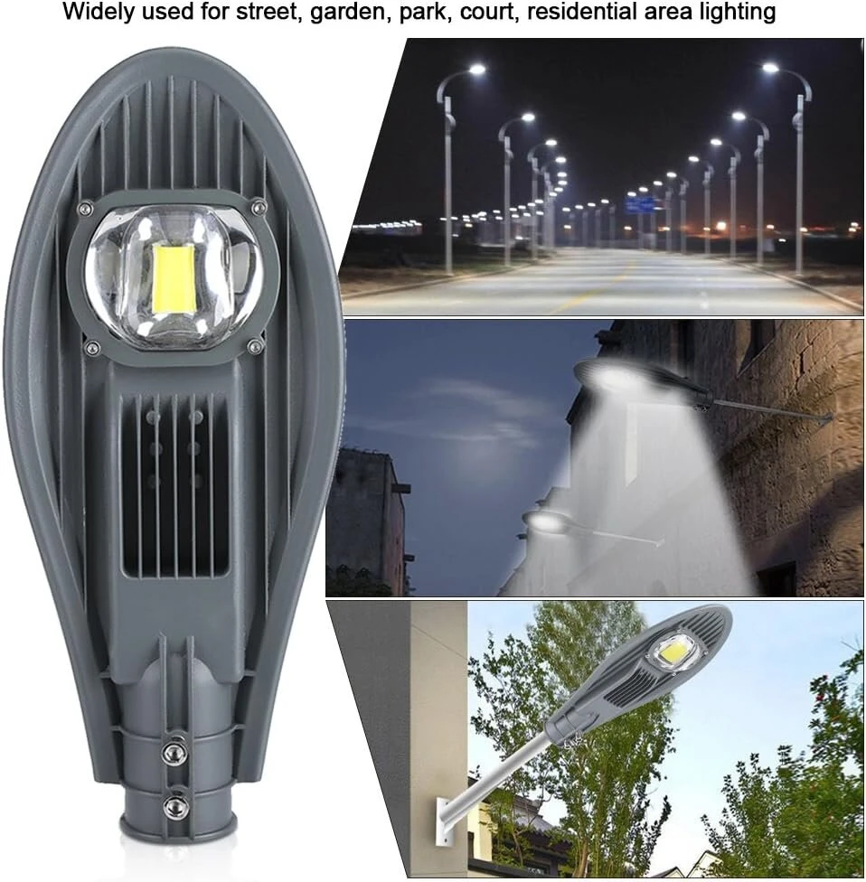 Gatvės LED prožektorius-šviestuvas, 30 W, IP65