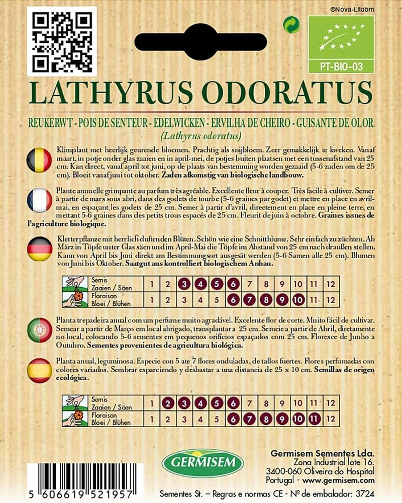 Germisem kvapusis pelėžirnis Lathyrus Odoratus, Ecbio1541
