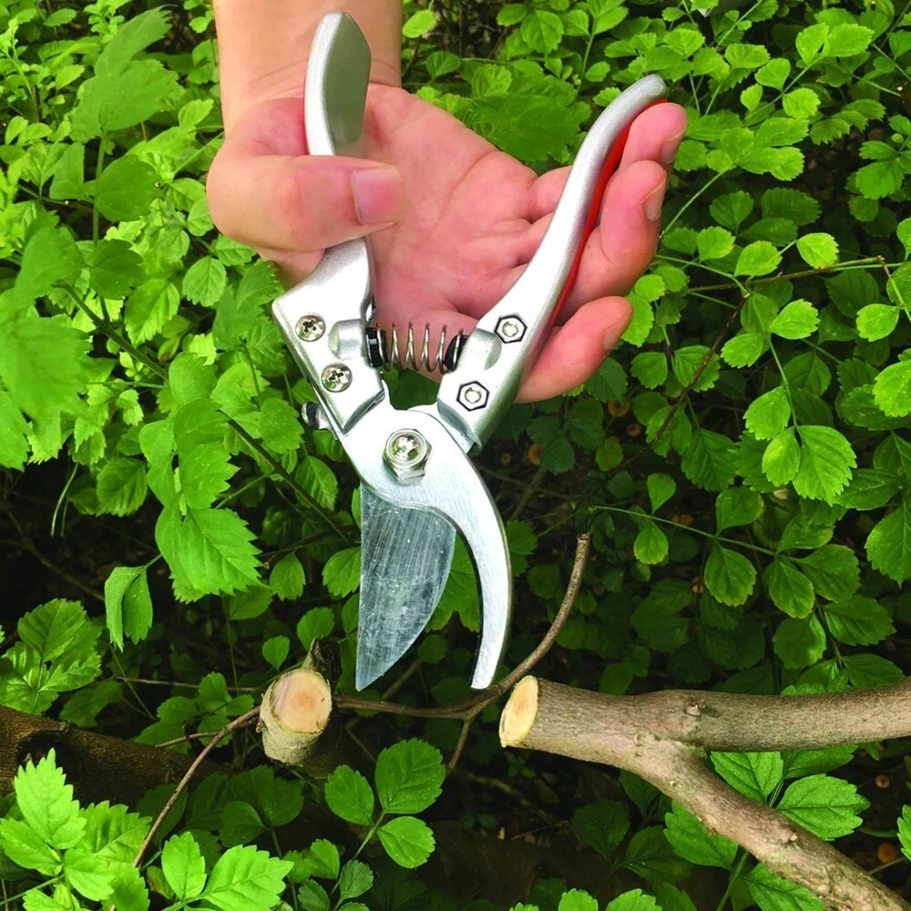 Gwcleo Sk-5 genėjimo žirklės, nerūdijantis plienas