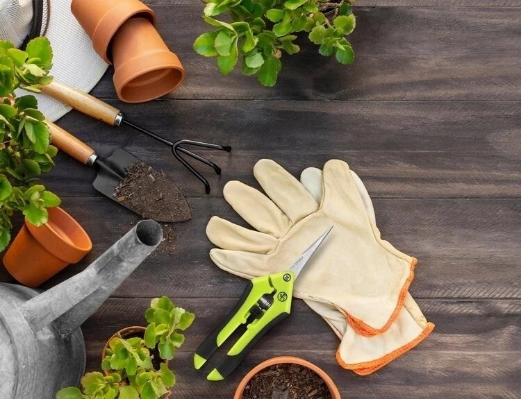 Herbgarden genėjimo žirklės augalų genėjimui