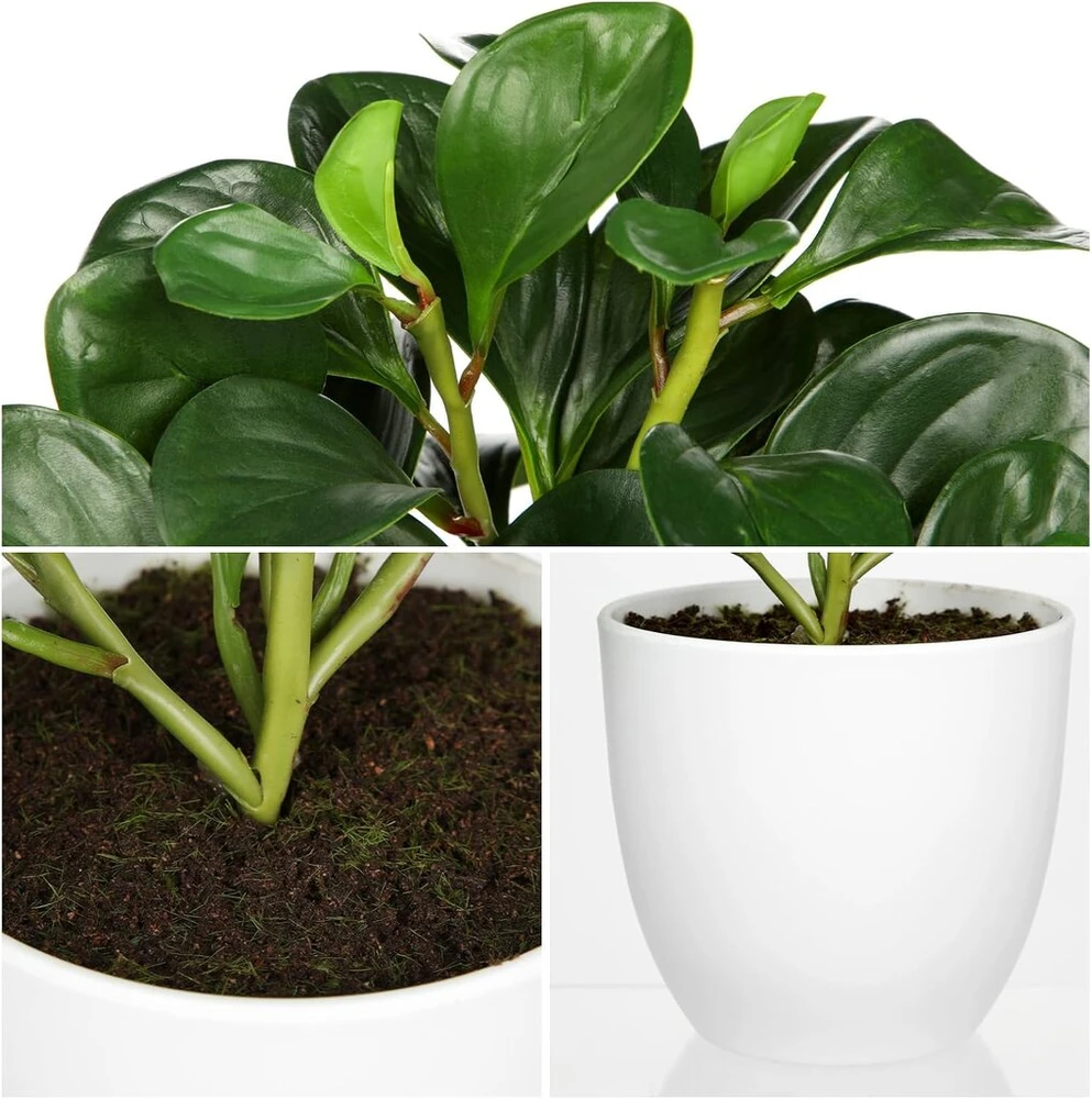 Hollyone dirbtinis augalas vazone, mažas meno žalios spalvos augalas, dirbtinė peperomija, dekoratyviniai augalai, kaip tikri, dirbtinis bonsai augalas svetainei, miegamajam, palangei, stalo dekoravimui