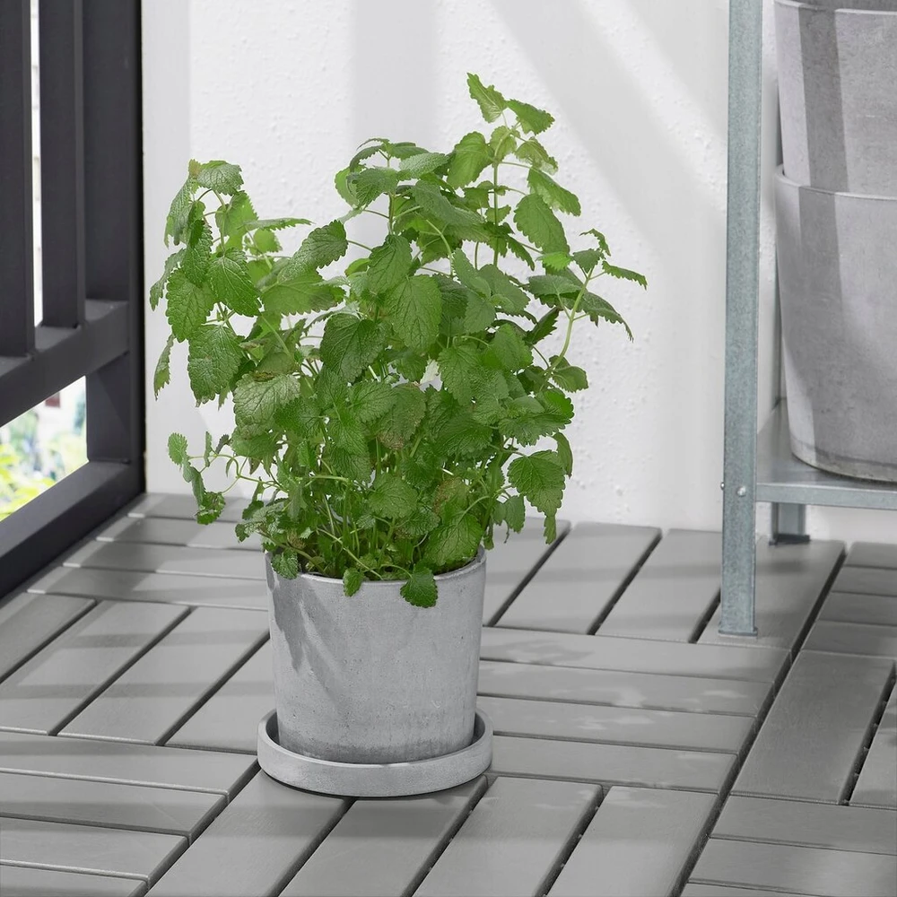 Ikea 4 vnt. boysenbar stovas - vidaus/lauko, šviesiai pilkas, 15 cm