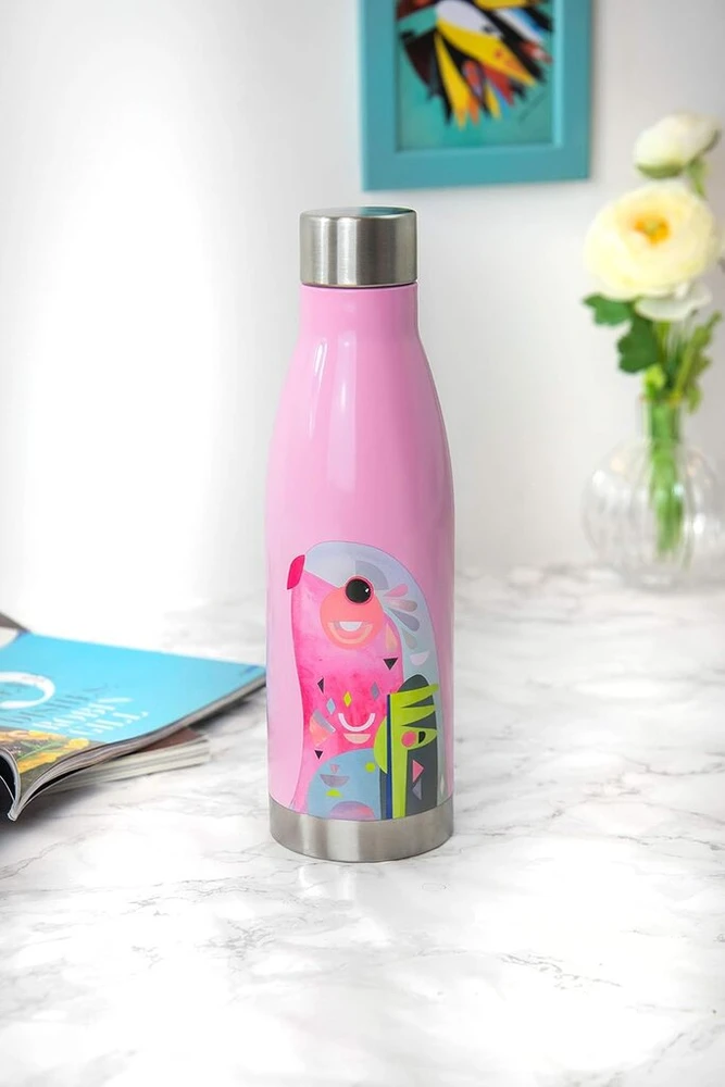 Maxwell & Williams izoliuotas nerūdijančio plieno vandens butelis, Pete Cromer, pelėdos dizainas, be Bpa nerūdijančio plieno, 500 ml, nepralaidus izoliuotas termosas