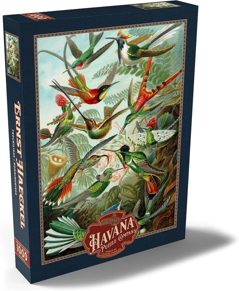 Mypuzzle kolibriai ir trochilidae (kolibriai), vintažinis meno plakatas, ernst haeckel - premium 1000 dalių dėlionė - mypuzzle special collection by havana puzzle company