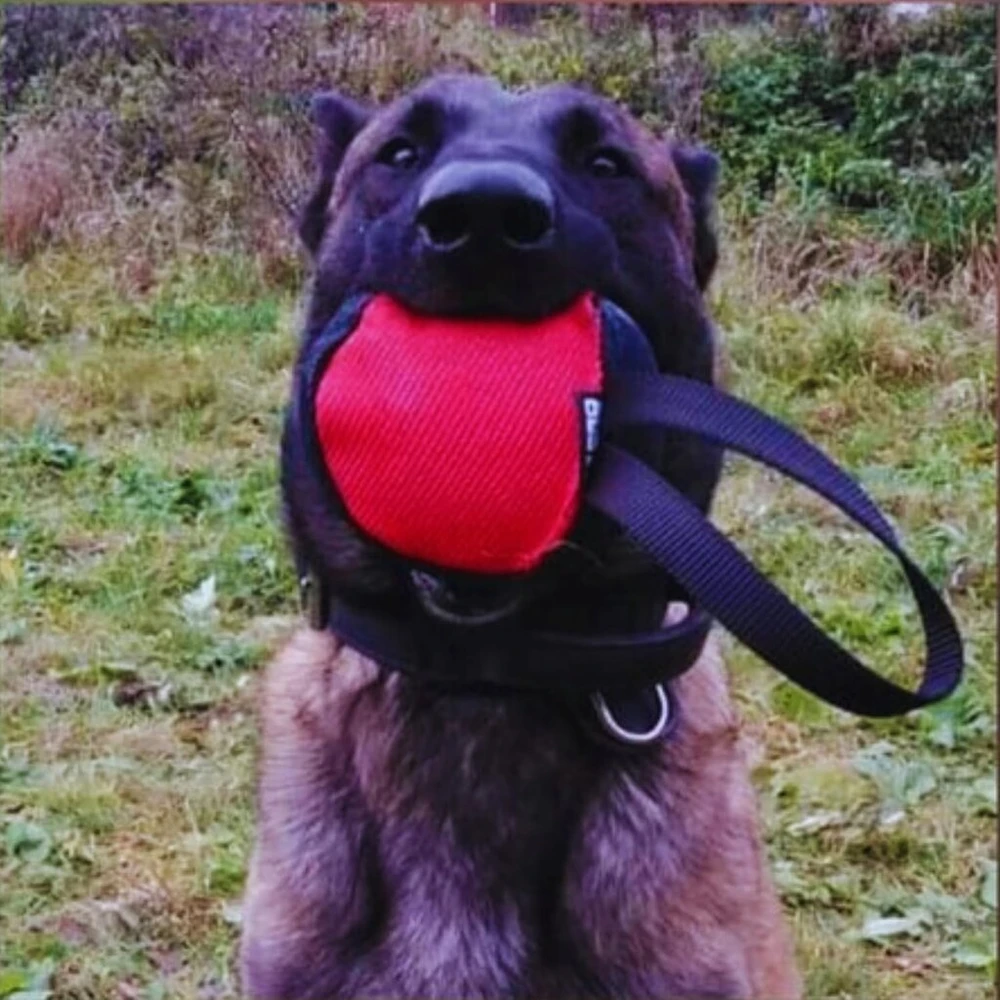 Nobleza Dingo Gear dresūros kamuolys šunims, raudonas, 16 cm