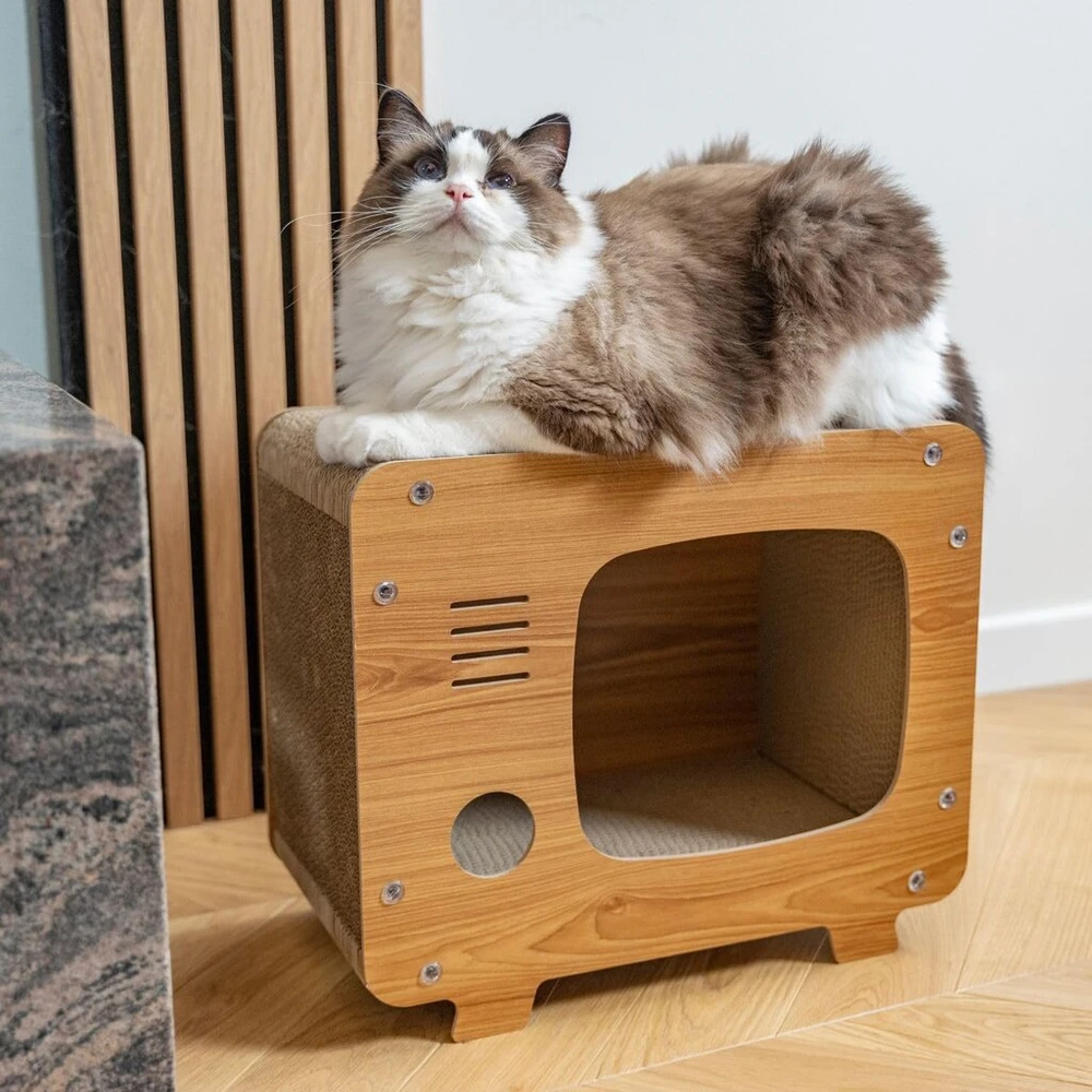 Petsona draskyklė katėms, natūralus kačių draskyklė, žaidimų aikštelė, draskyklė ir draskymo kilimėlis katei, žaislas katei, savarankiškas užimtumas, natūralus