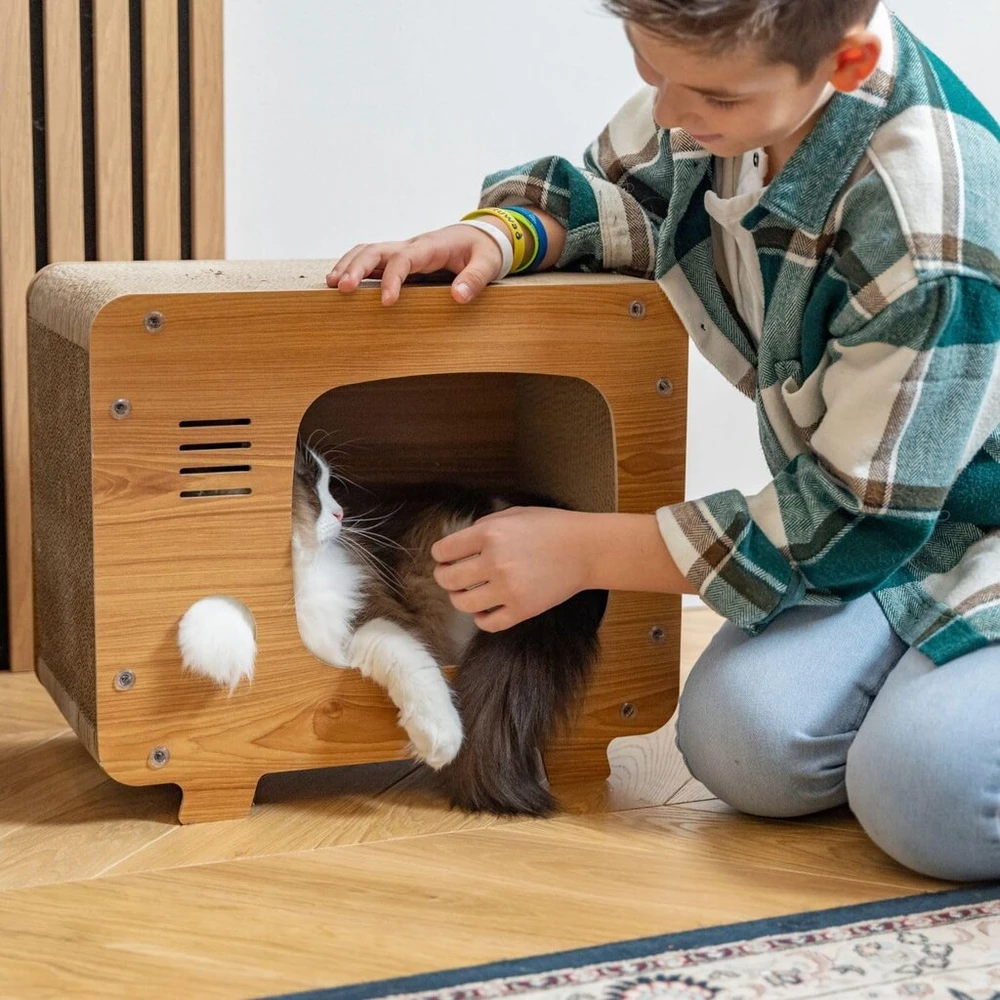 Petsona draskyklė katėms, natūralus kačių draskyklė, žaidimų aikštelė, draskyklė ir draskymo kilimėlis katei, žaislas katei, savarankiškas užimtumas, natūralus