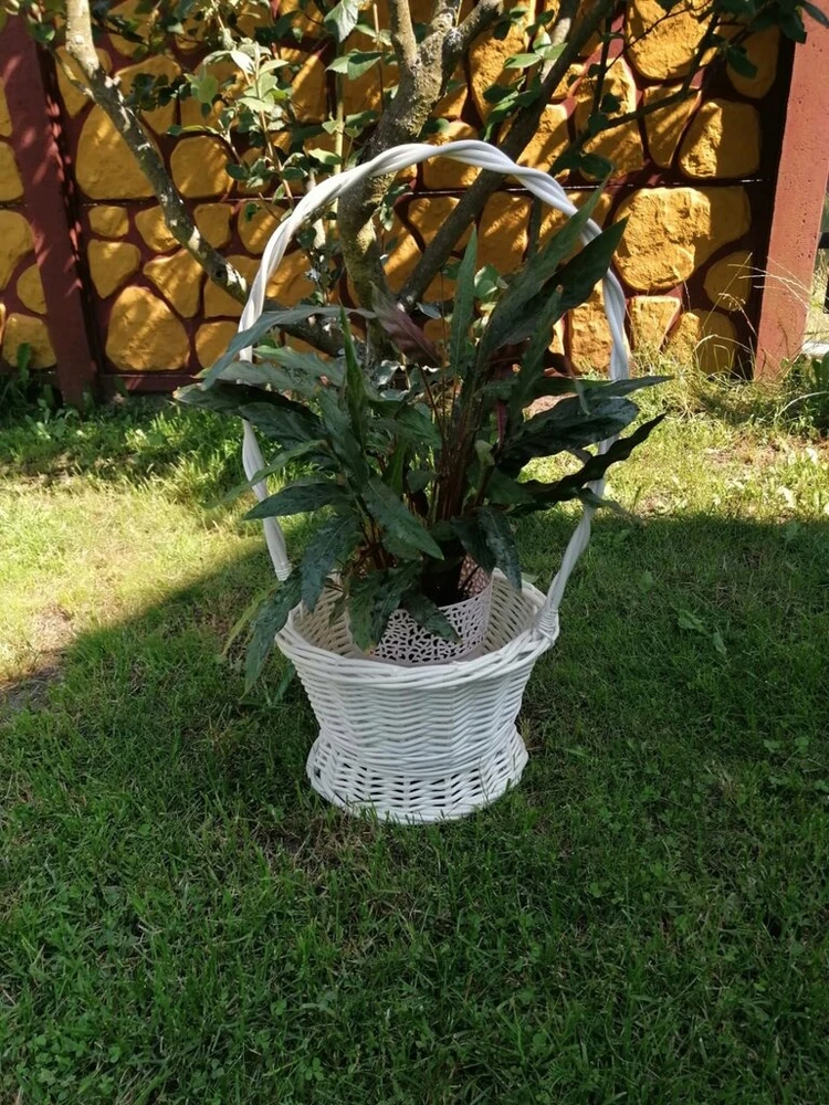 Pintas gėlių krepšelis
