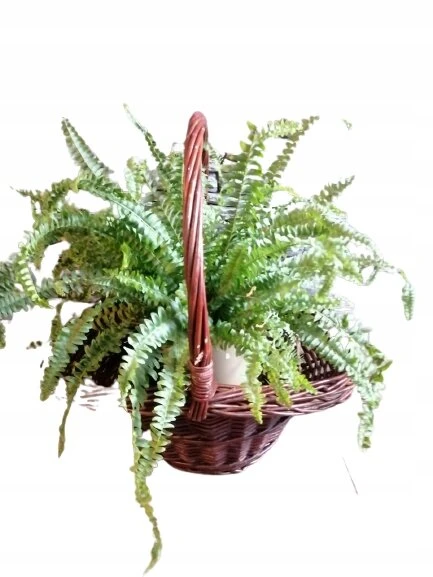 Pintinė gėlių dėžė sodui, skrybėlė, 37 cm
