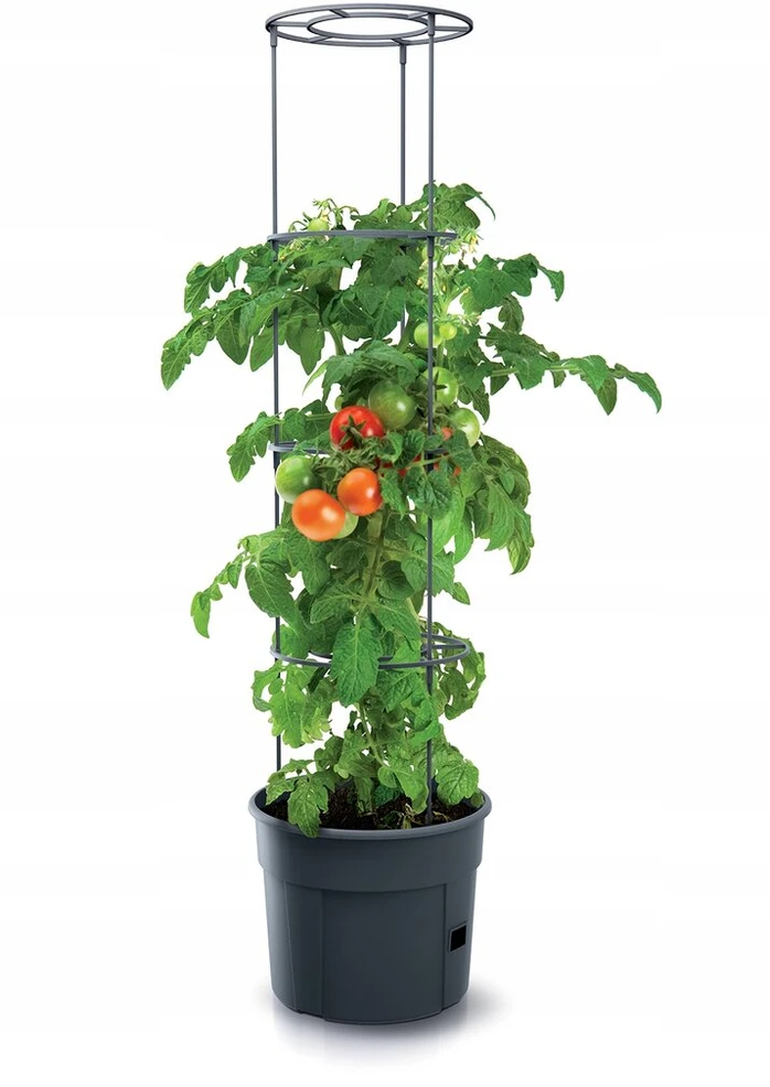 Pomidorų auginimo vazonas pomidorams, žirniams 18l rėmas stovas 128cm