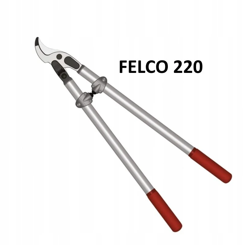 Pradžiamokslio žirklės Felco 220