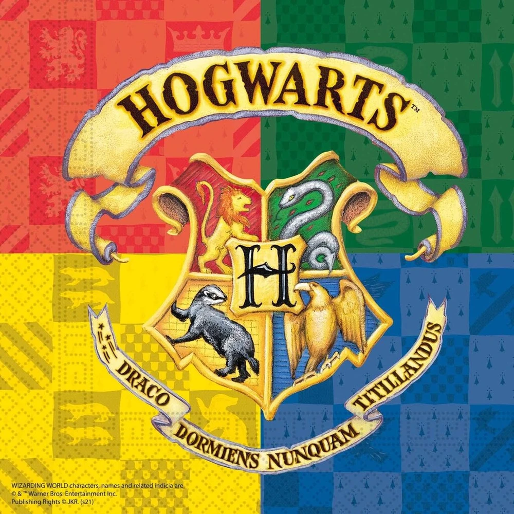 Procos Dy10273865 Harry Potter vakarėlio rinkinys, didelis, lėkštės, puodeliai, servetėlės, staltiesė, maišeliai, reklaminis skydelis, stalo dekoracija, gimtadienio dekoracija, m