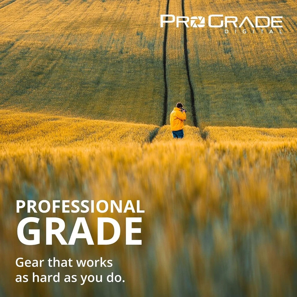 Prograde Digital Usb 3.1 Gen 2 dviejų lizdų Sd kortelių skaitytuvas