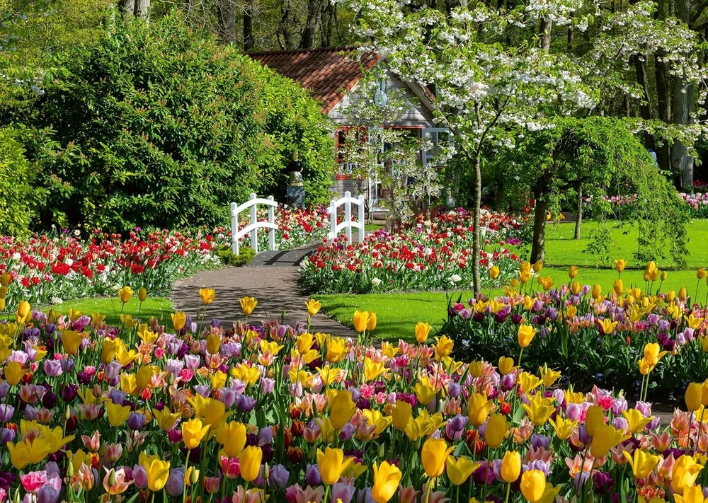 Ravensburger dėlionė 12000851, beautiful gardens - Keukenhofo sodai, Nyderlandai - 1000 detalių dėlionė suaugusiems ir vaikams nuo 14 metų