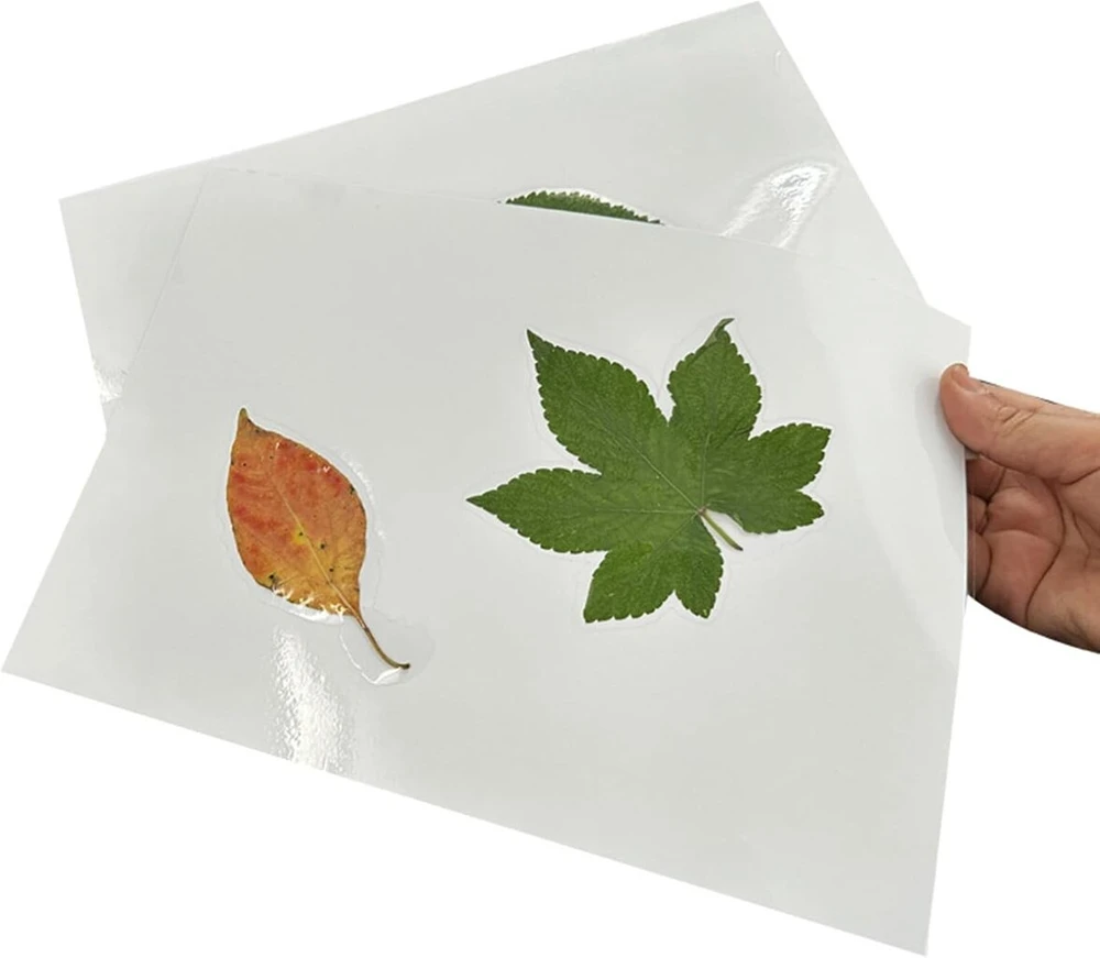 Šalto laminavimo plėvelės nuotraukoms, laminavimo plėvelė, lipni laminavimo plėvelė, šalto laminavimo vokeliai ultragarso nuotraukoms, ultragarso nuotraukų laminavimas, laminavimo vokeliai ir grandikliai