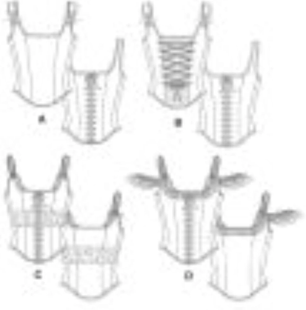 Siuvimo šablonas Butterick Btk 5935 (12-20 dydžiai)