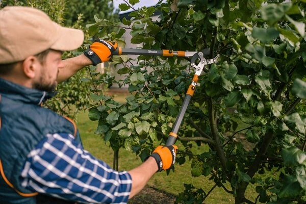 Sodo žirklės šakoms bradas v-series-d bradas