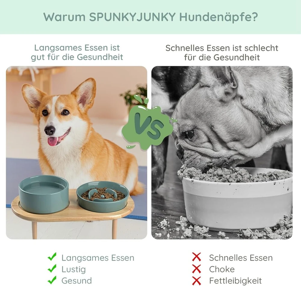 Spunkyjunky keramikinis dubenėlių rinkinys šunims su bambuko stovu katėms ir šunims (tamsiai žalias)