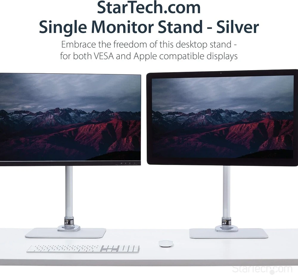 Monitorius Startech stalinio monitoriaus stovas