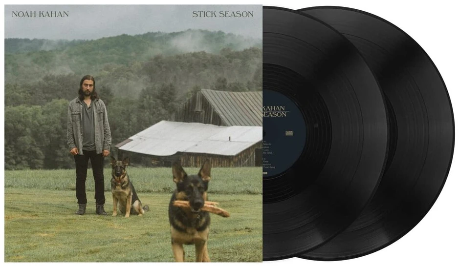 Vinilinė plokštelė Stick Season