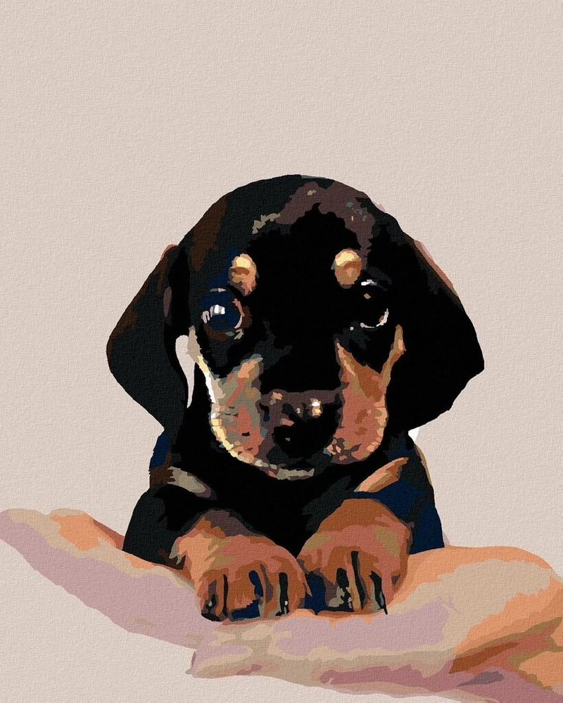Tapyba pagal skaičius: Šuniukas, 40x50 cm, su porėmiu